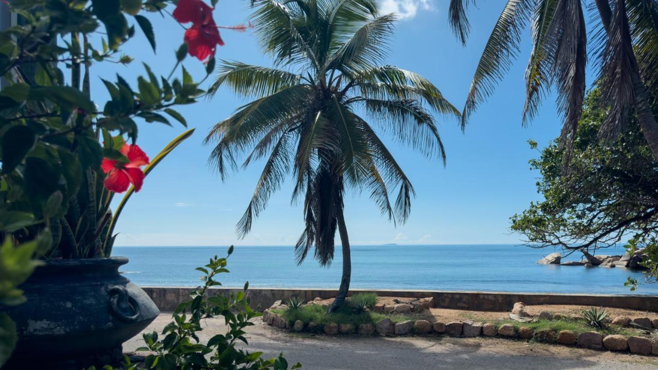 La Petite Maison And Sea Splash Baie Sainte Anne Dış mekan fotoğraf